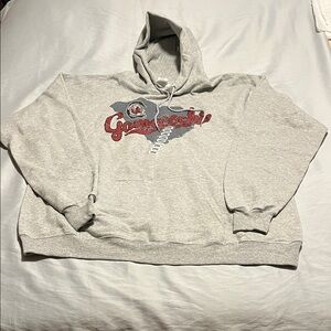 Hanes Gray USC Gamecocks Hoodie Sweatshirt Pullover Size L South Carolina NWT